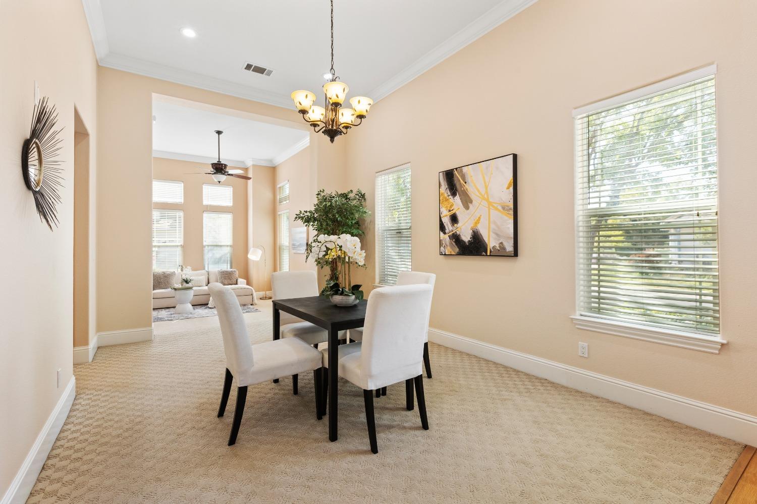 Detail Gallery Image 30 of 79 For 8839 San Badger Way, Elk Grove,  CA 95624 - 4 Beds | 3/1 Baths