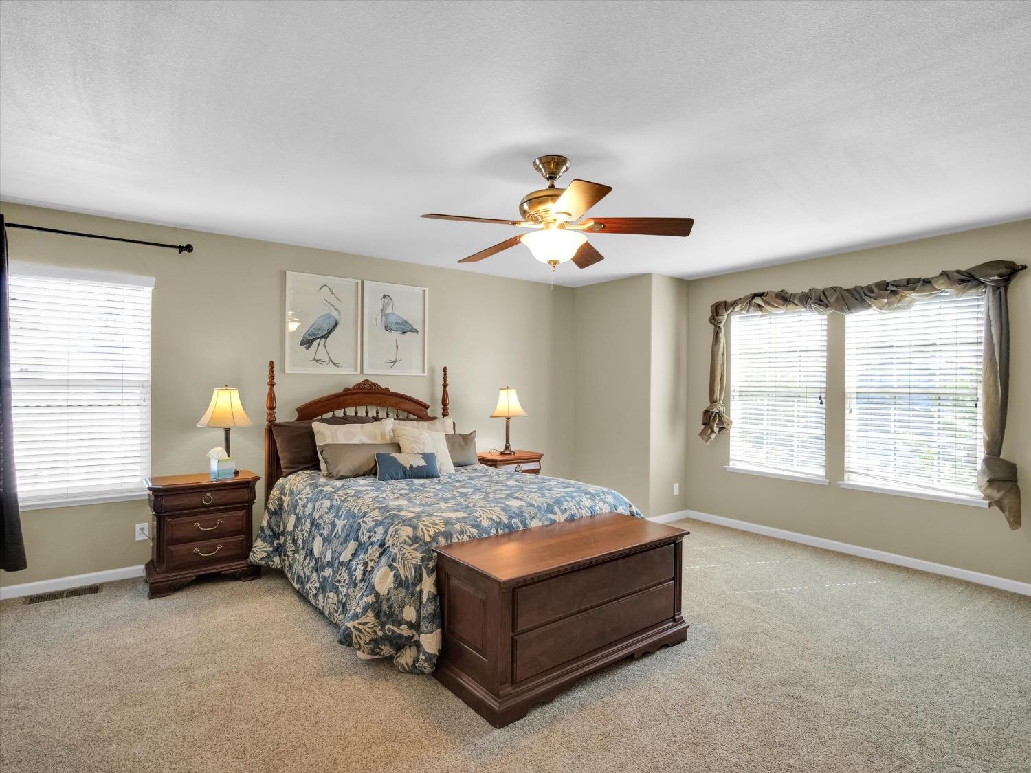Detail Gallery Image 30 of 73 For 661 Simeon Ct, Ripon,  CA 95366 - 5 Beds | 3 Baths
