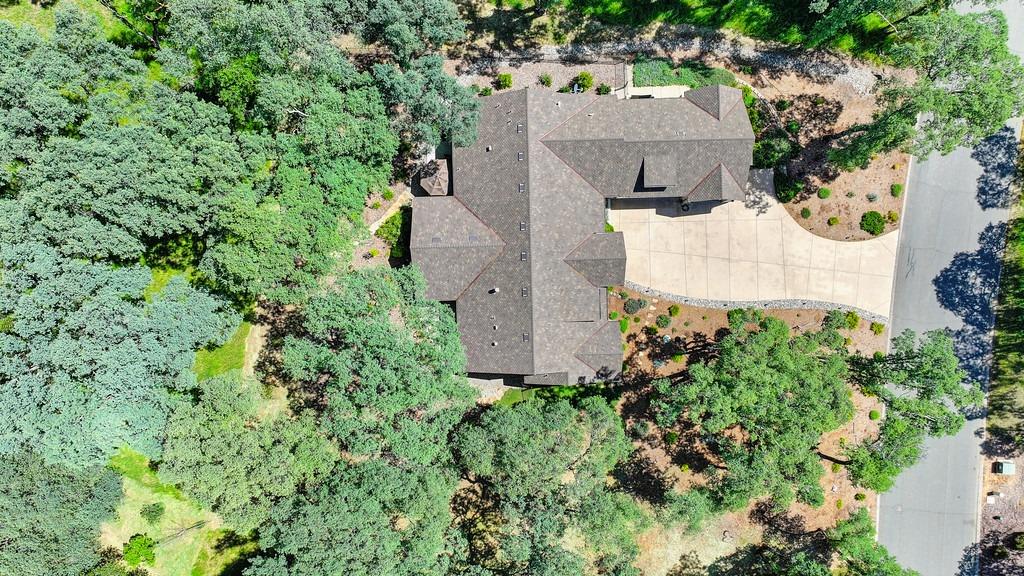 Austin Forest Circle, Auburn, California image 49