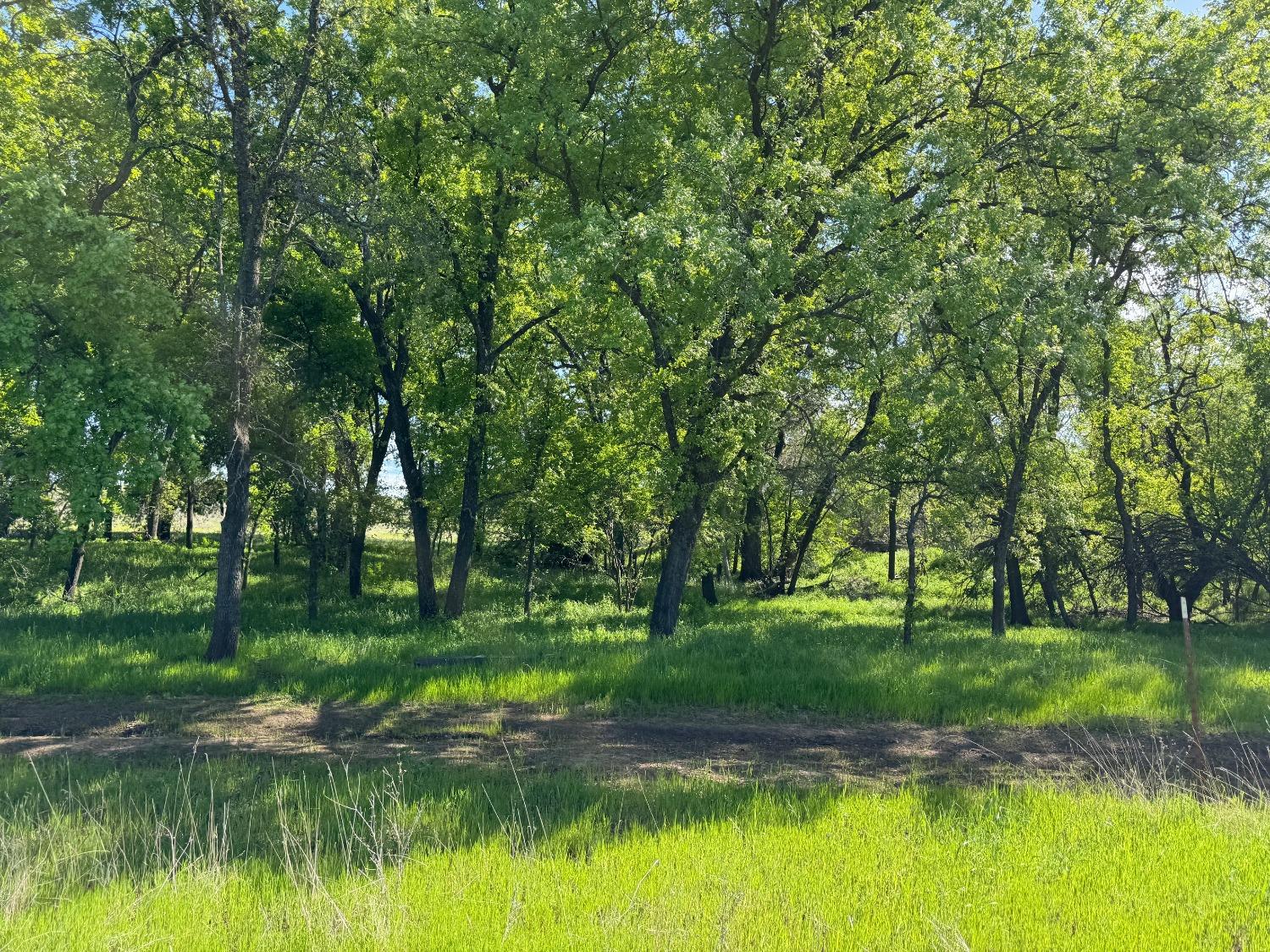 Detail Gallery Image 5 of 67 For 8645 County Road 49, Guinda,  CA 95637 - 3 Beds | 2 Baths