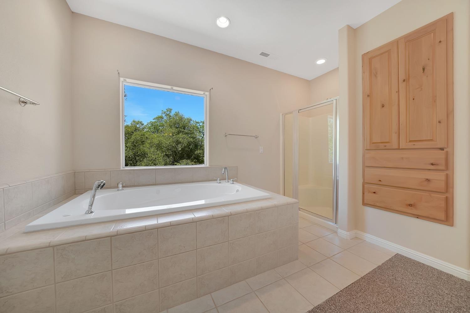 Detail Gallery Image 31 of 71 For 1234 Jackson Gate Rd, Jackson,  CA 95642 - 3 Beds | 2/1 Baths