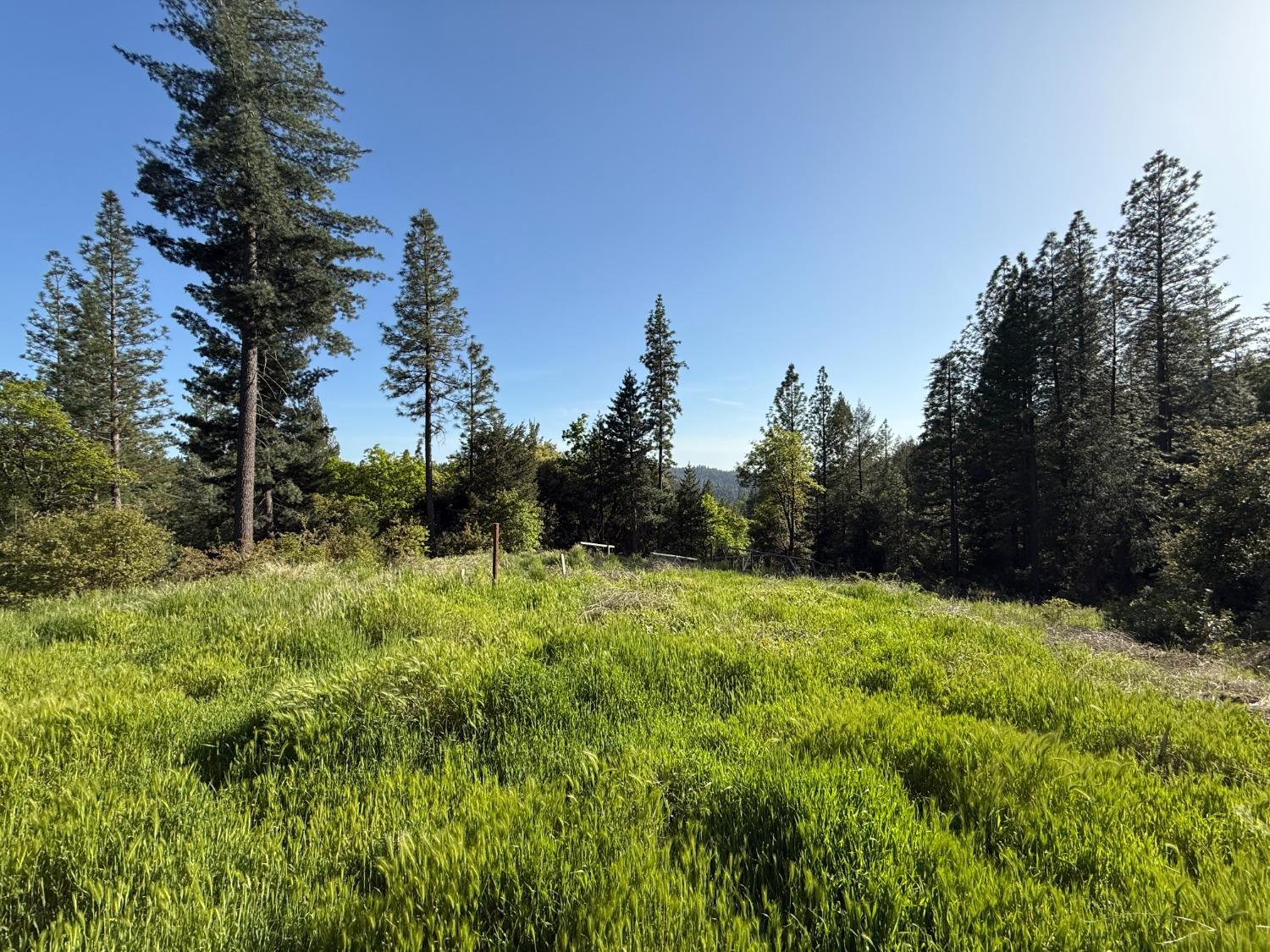 Grizzly Creek Road, Nevada City, California image 2