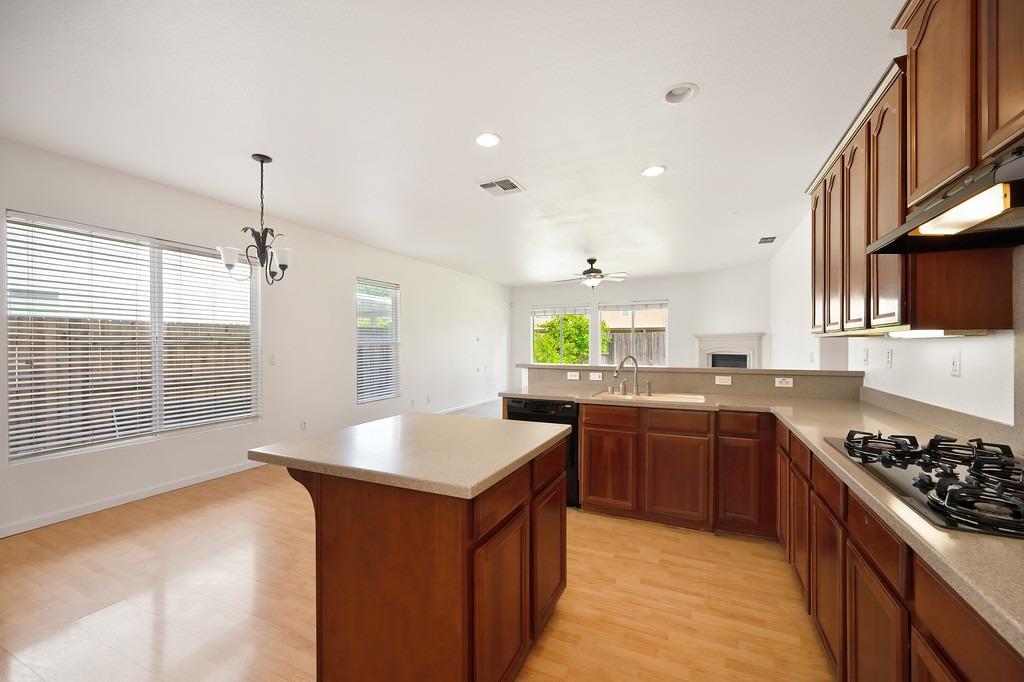 Tarpan Court, Elk Grove, California image 16