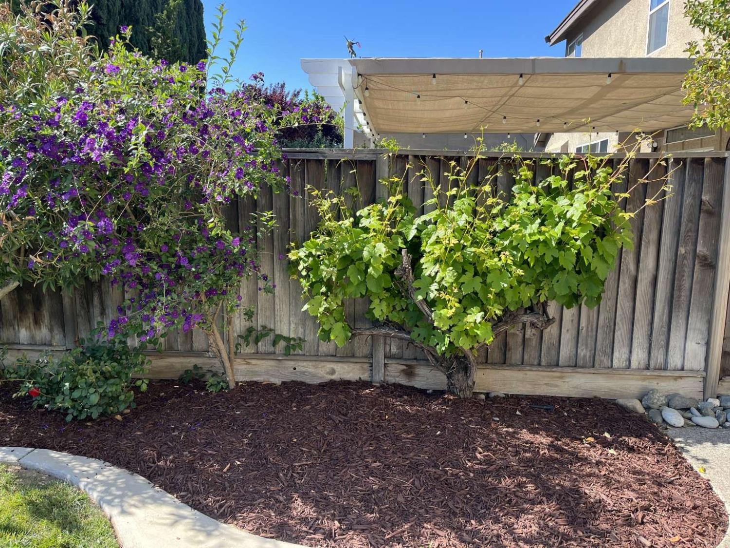 Fairhaven, Hollister, California image 21