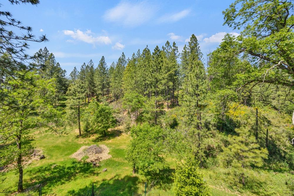 Detail Gallery Image 59 of 70 For 24275 Grand View Ave., Colfax,  CA 95713 - 5 Beds | 2 Baths
