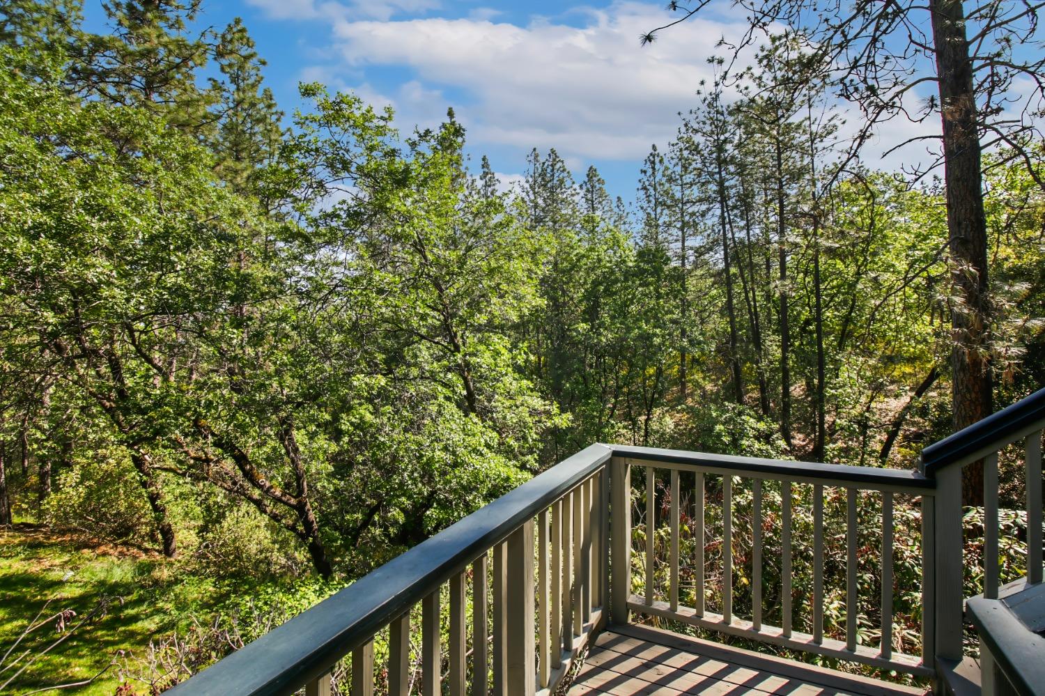 Detail Gallery Image 49 of 66 For 515 Hillside Dr, Applegate,  CA 95703 - 4 Beds | 3 Baths