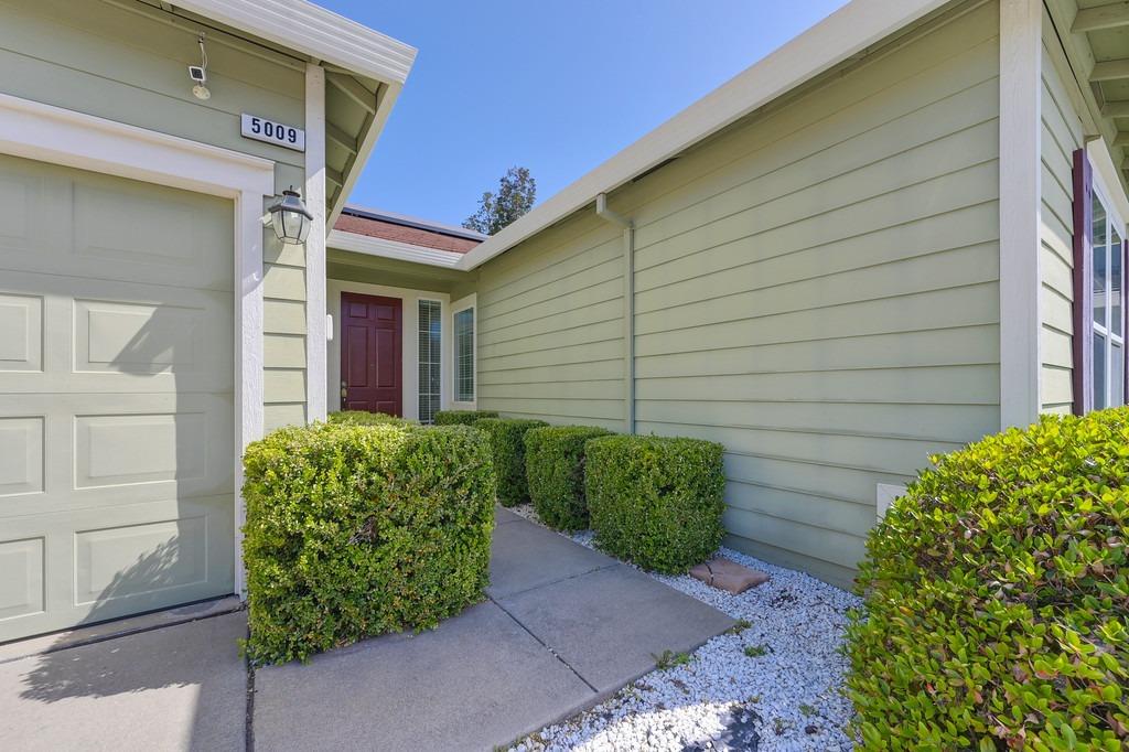 Tarpan Court, Elk Grove, California image 4