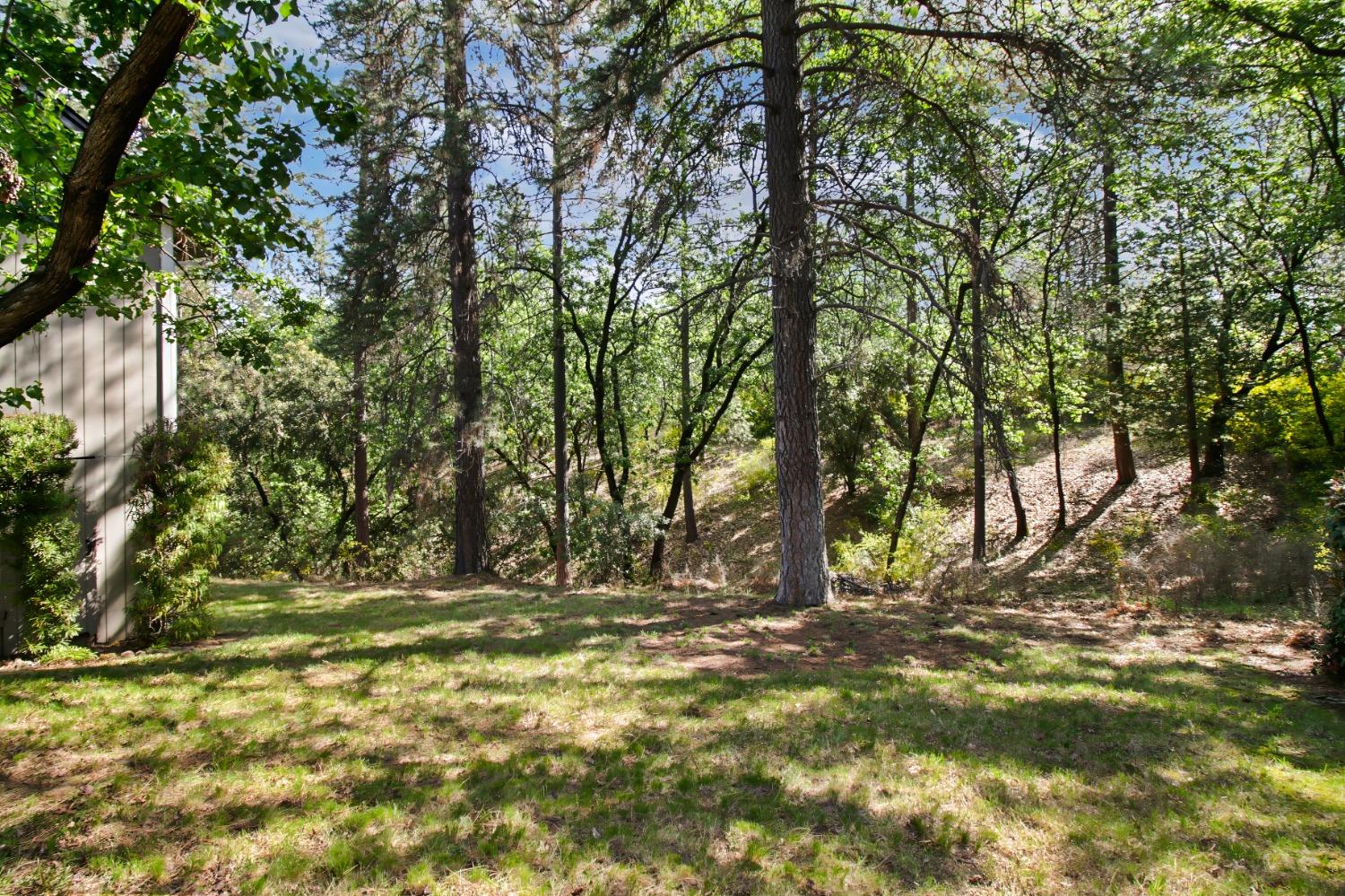 Detail Gallery Image 56 of 66 For 515 Hillside Dr, Applegate,  CA 95703 - 4 Beds | 3 Baths