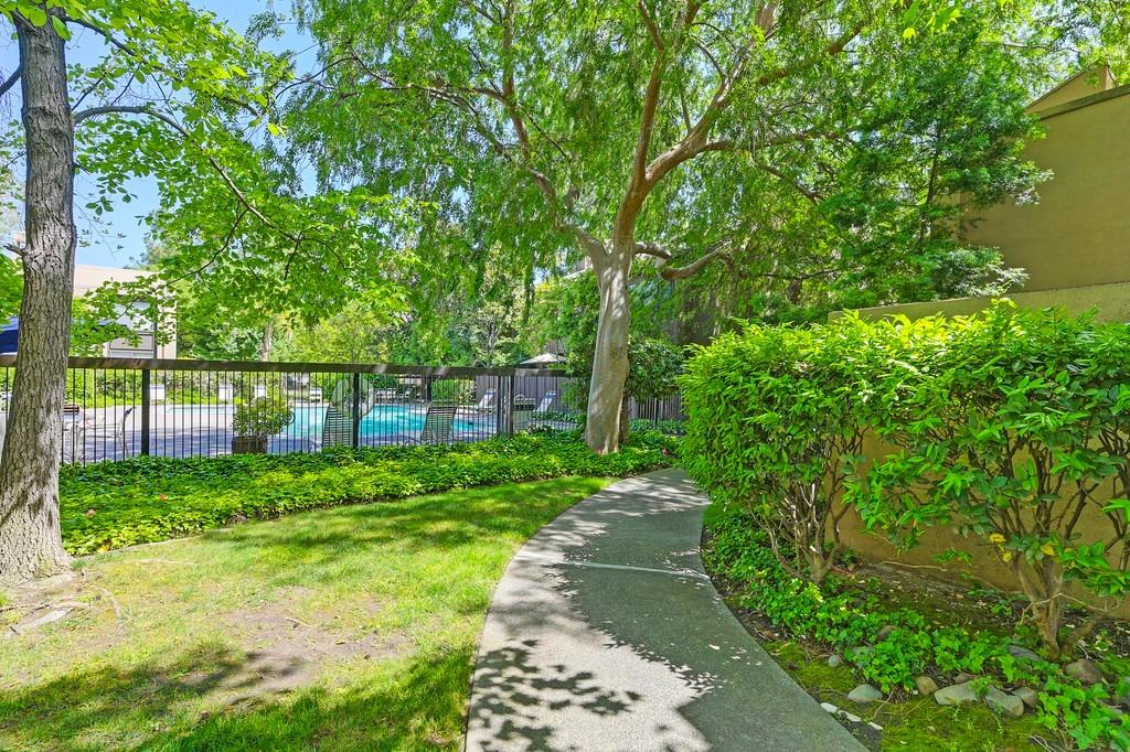 Photo #41: 225051785 Listing: Photo #41