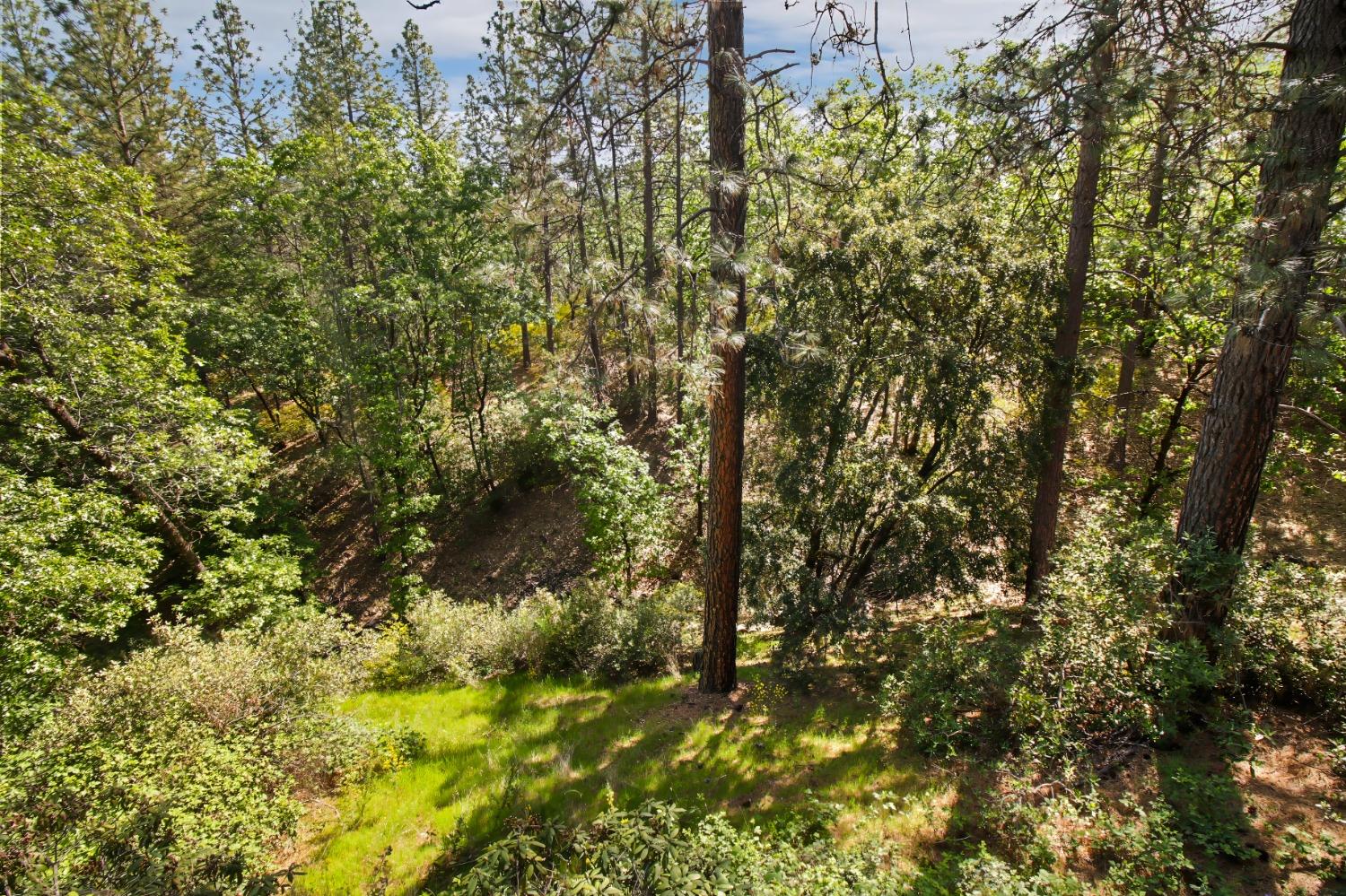 Detail Gallery Image 65 of 66 For 515 Hillside Dr, Applegate,  CA 95703 - 4 Beds | 3 Baths