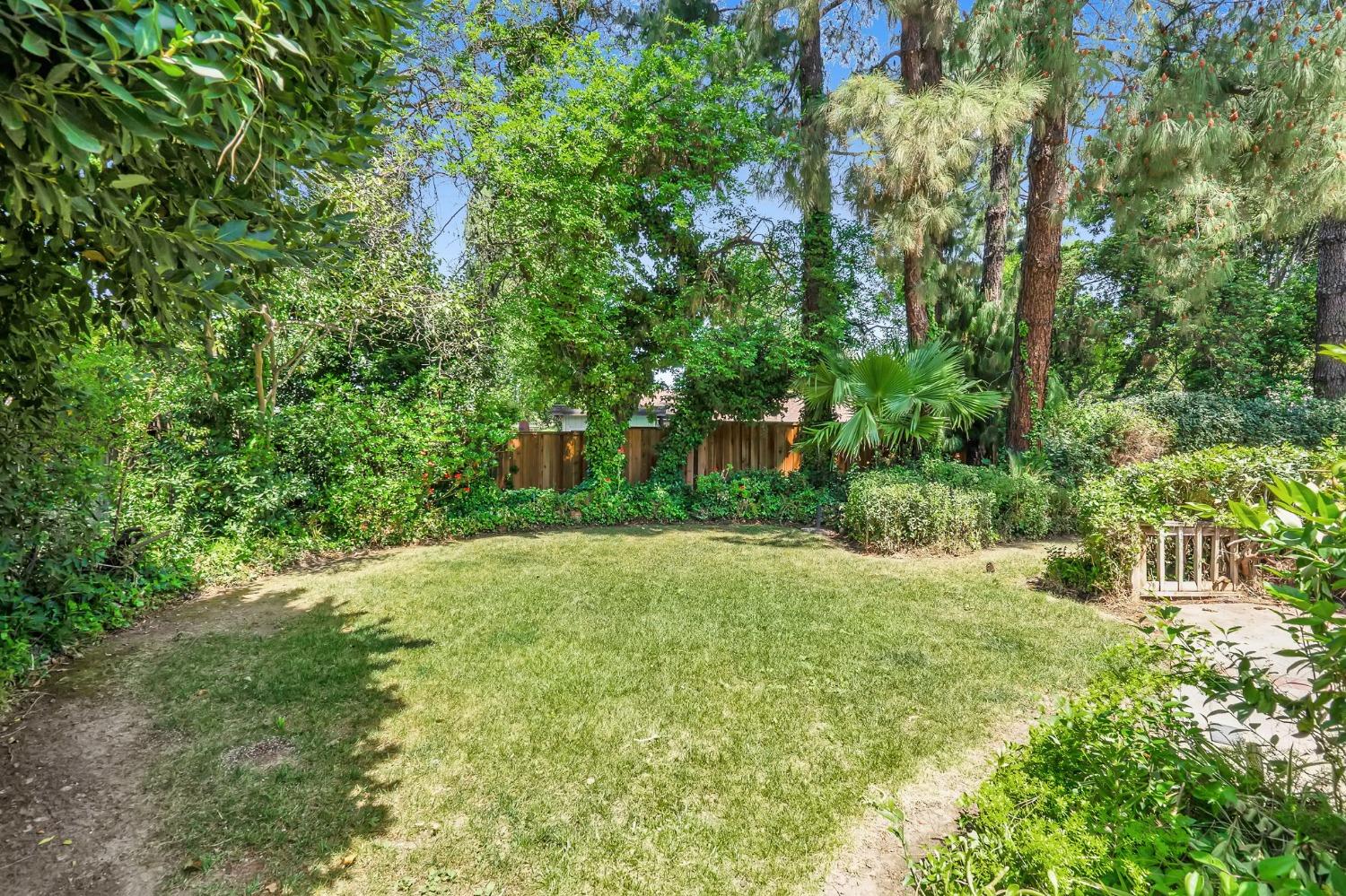 Corona Drive, Davis, California image 24
