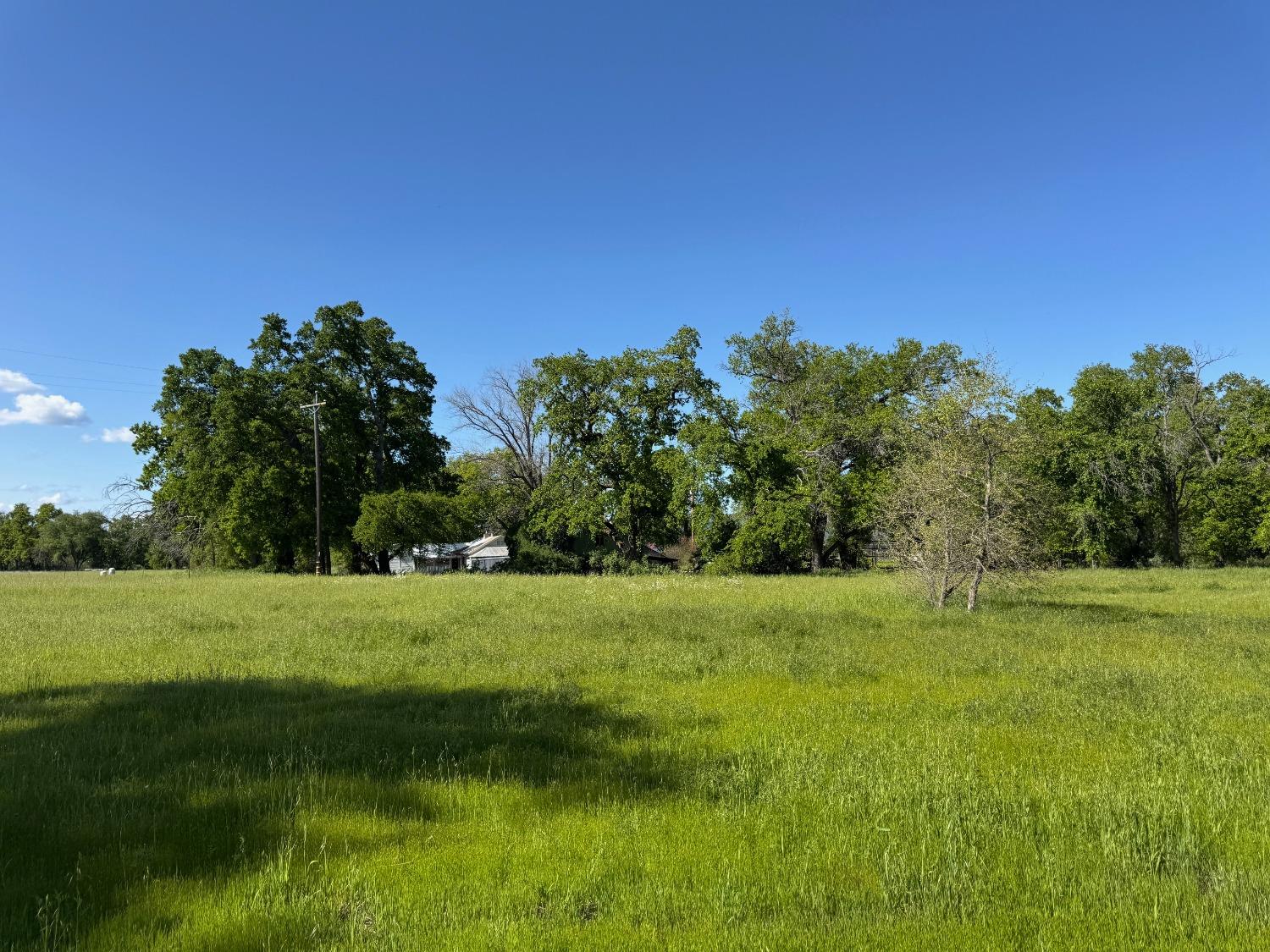 Detail Gallery Image 65 of 67 For 8645 County Road 49, Guinda,  CA 95637 - 3 Beds | 2 Baths