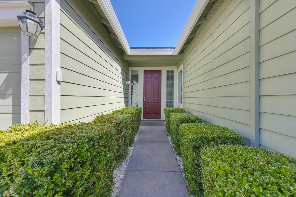 Tarpan Court, Elk Grove, California image 5