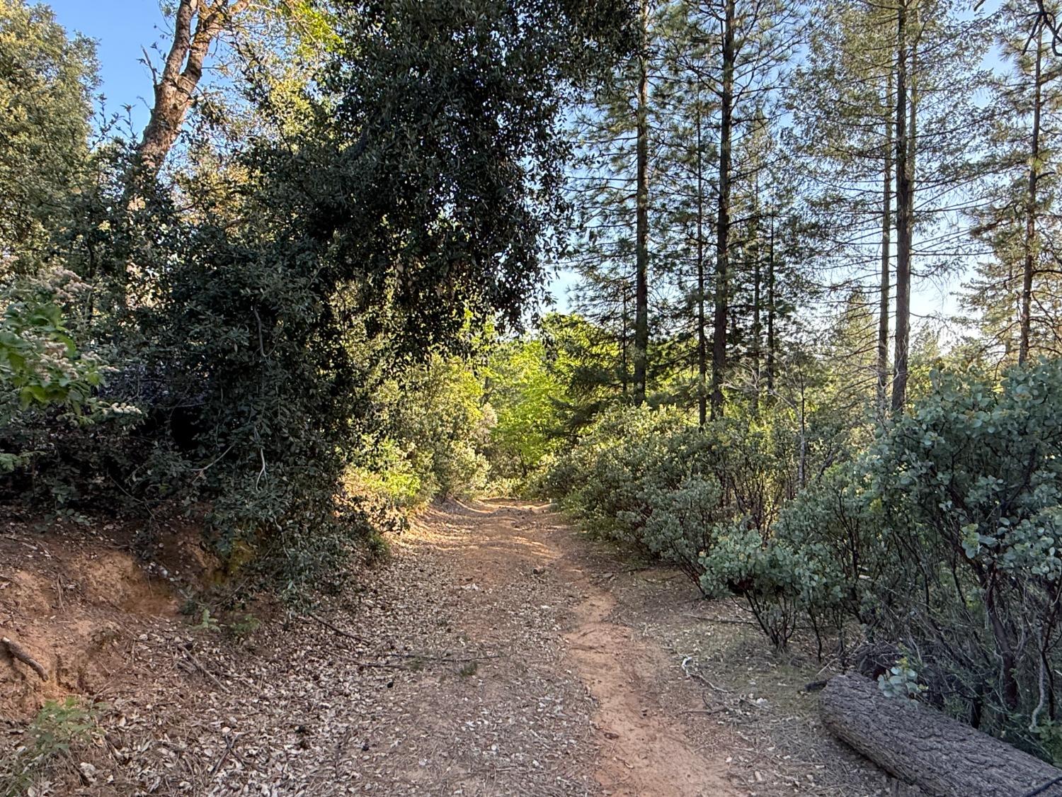 Grizzly Creek Road, Nevada City, California image 6