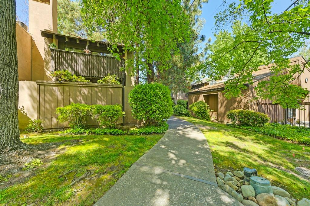 Photo #7: 225051785 Listing: Photo #7