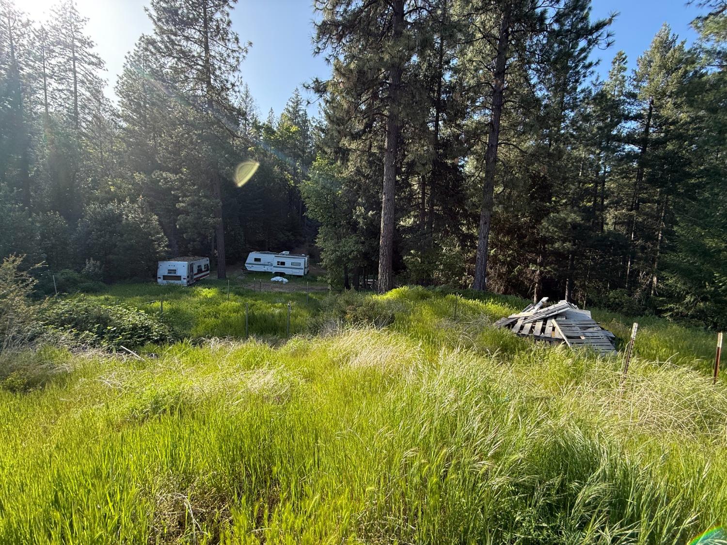 Grizzly Creek Road, Nevada City, California image 7