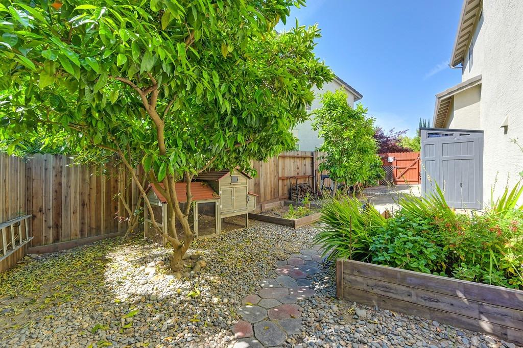 Wisam Court, Fair Oaks, California image 32