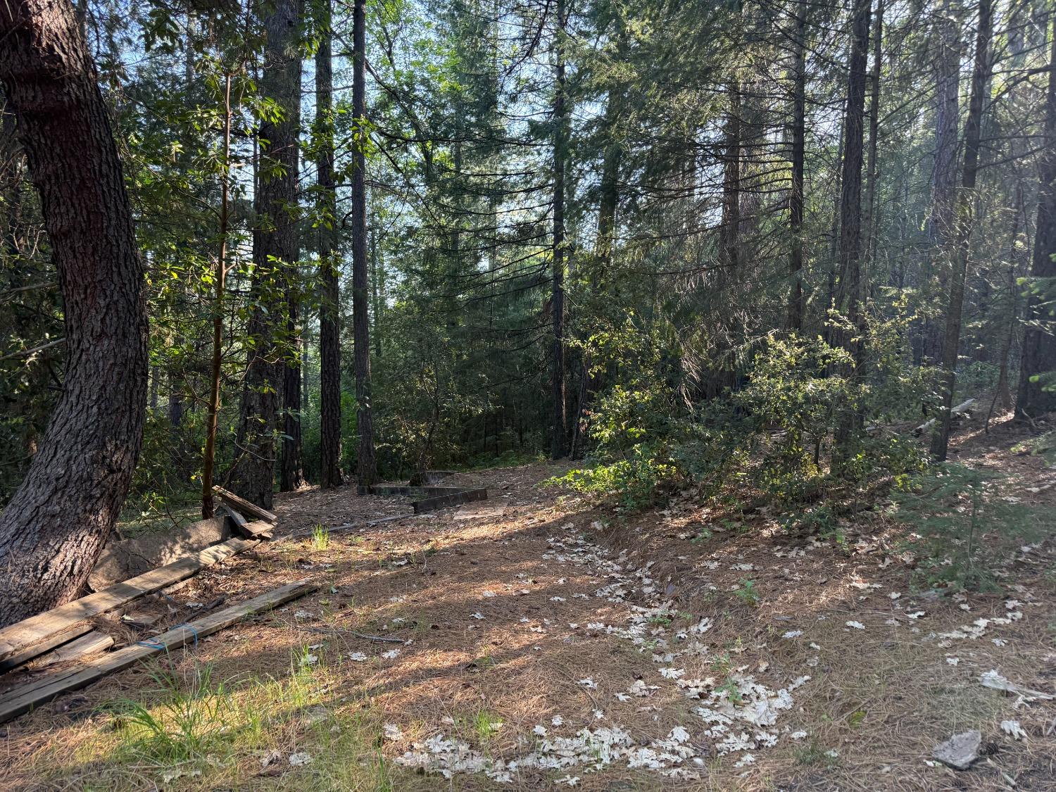 Grizzly Creek Road, Nevada City, California image 10