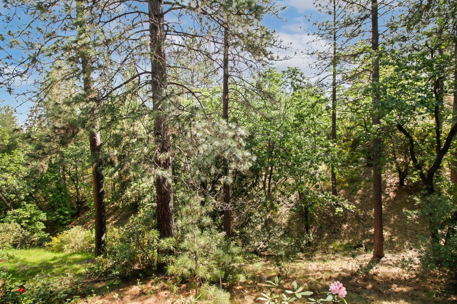 Detail Gallery Image 66 of 66 For 515 Hillside Dr, Applegate,  CA 95703 - 4 Beds | 3 Baths