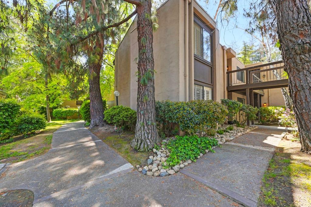 Photo #10: 225051785 Listing: Photo #10