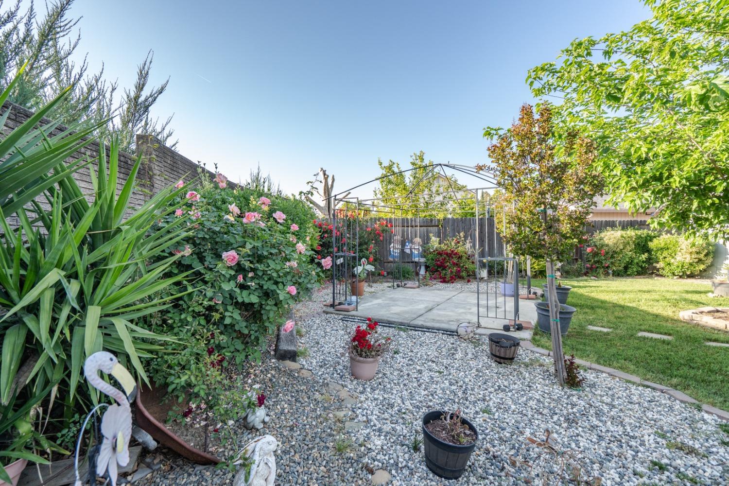 Jan Marie Way, Elk Grove, California image 28