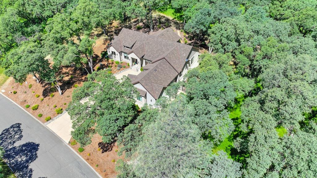 Austin Forest Circle, Auburn, California image 48