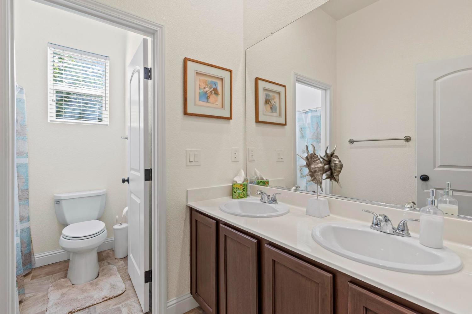 Kleeman Way, Arbuckle, California image 11