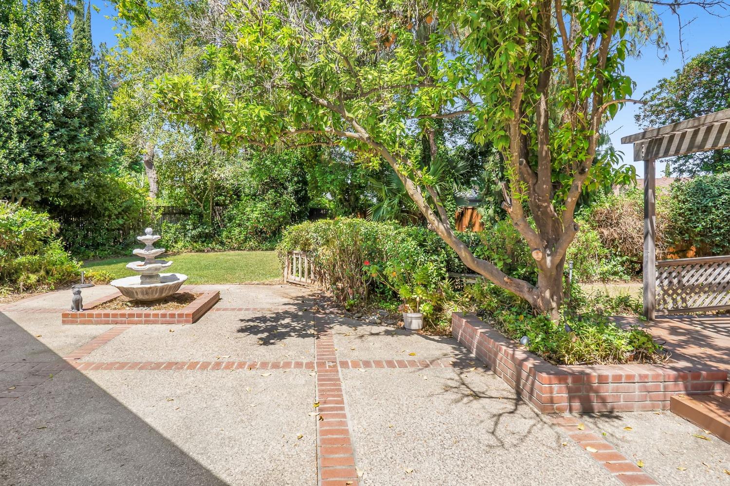 Corona Drive, Davis, California image 23