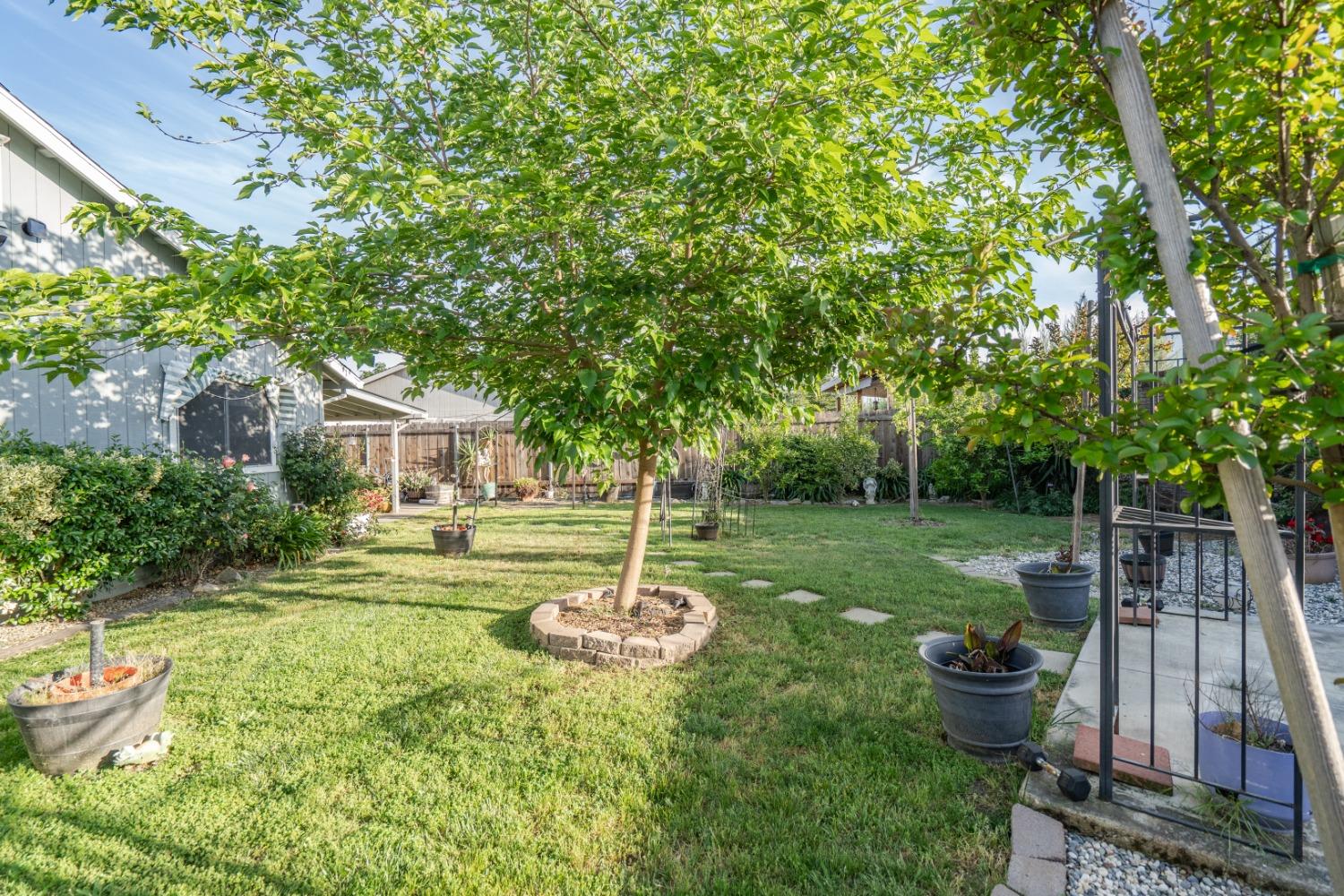 Jan Marie Way, Elk Grove, California image 30