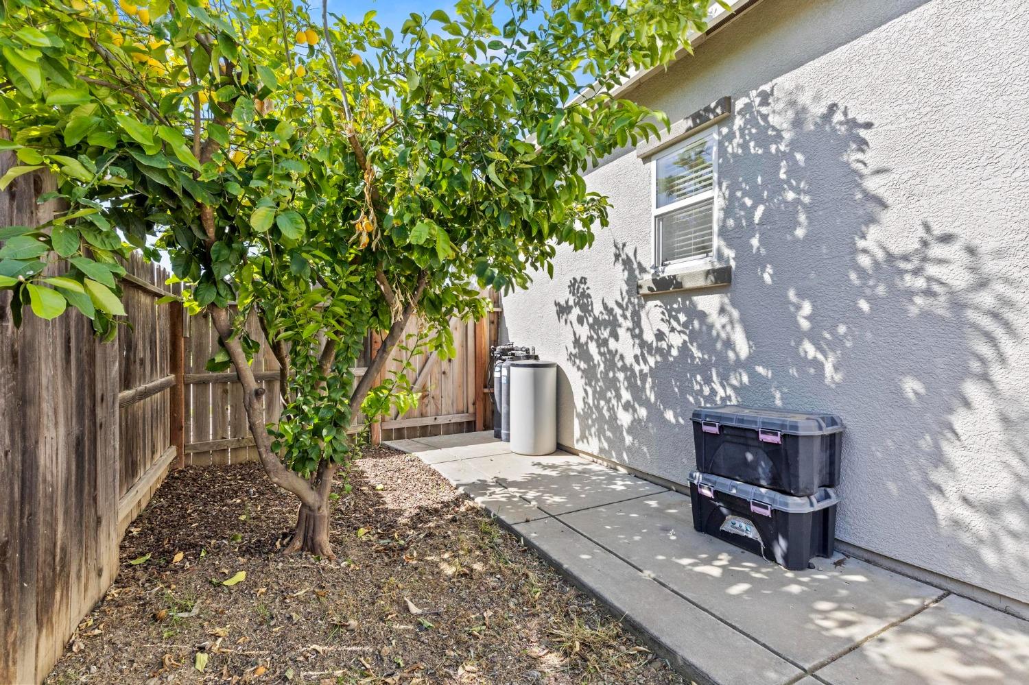Kleeman Way, Arbuckle, California image 35