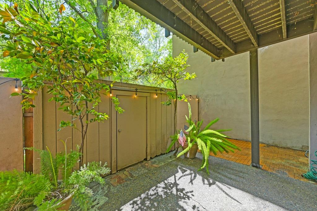 Photo #38: 225051785 Listing: Photo #38