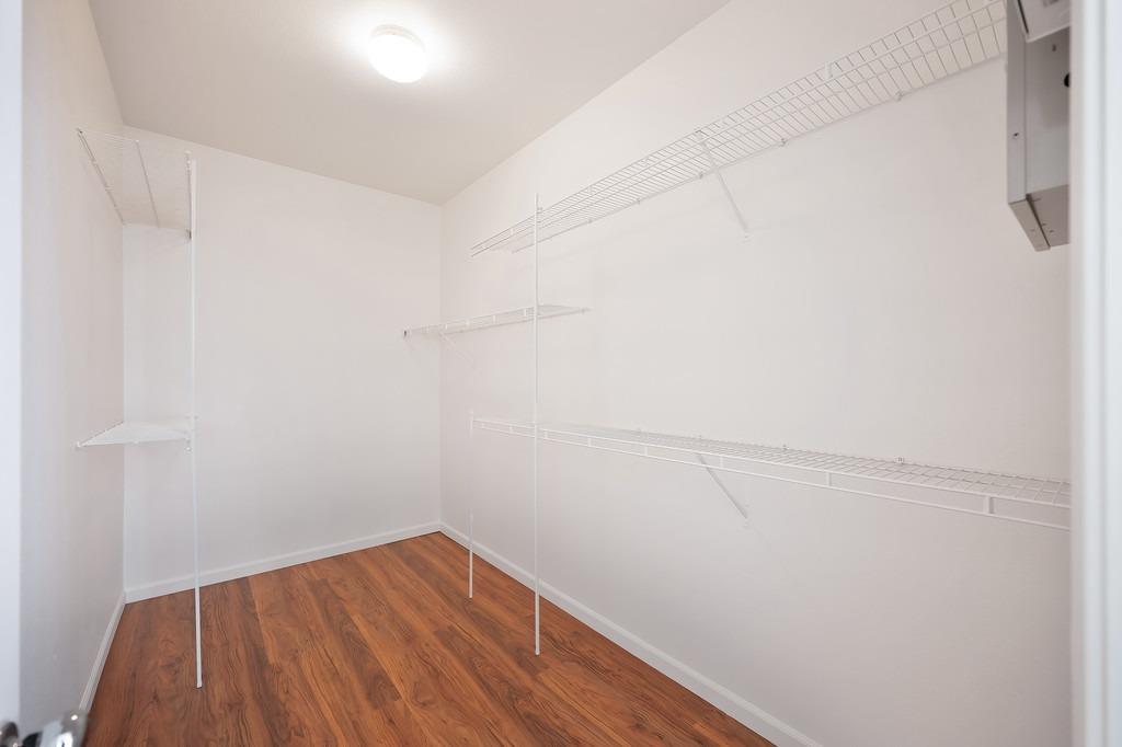 Tarpan Court, Elk Grove, California image 33