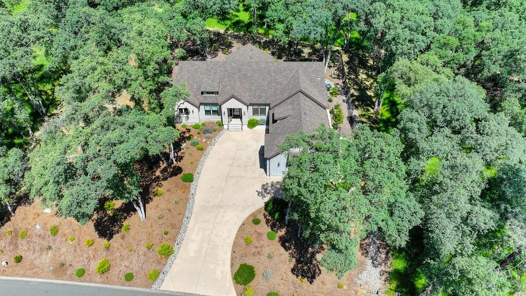 Austin Forest Circle, Auburn, California image 47