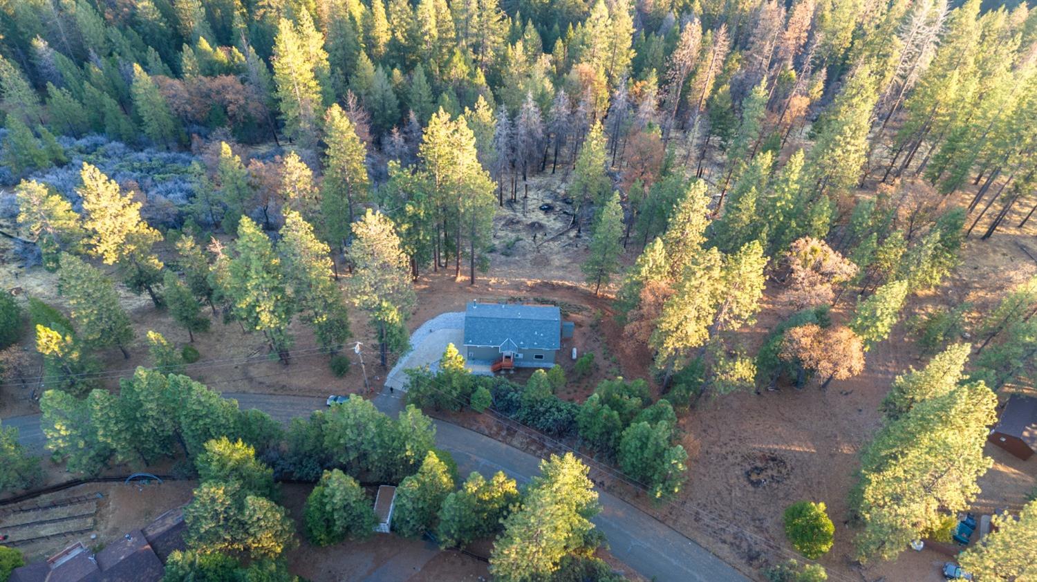 Wildrose Drive, Grizzly Flats, California image 44