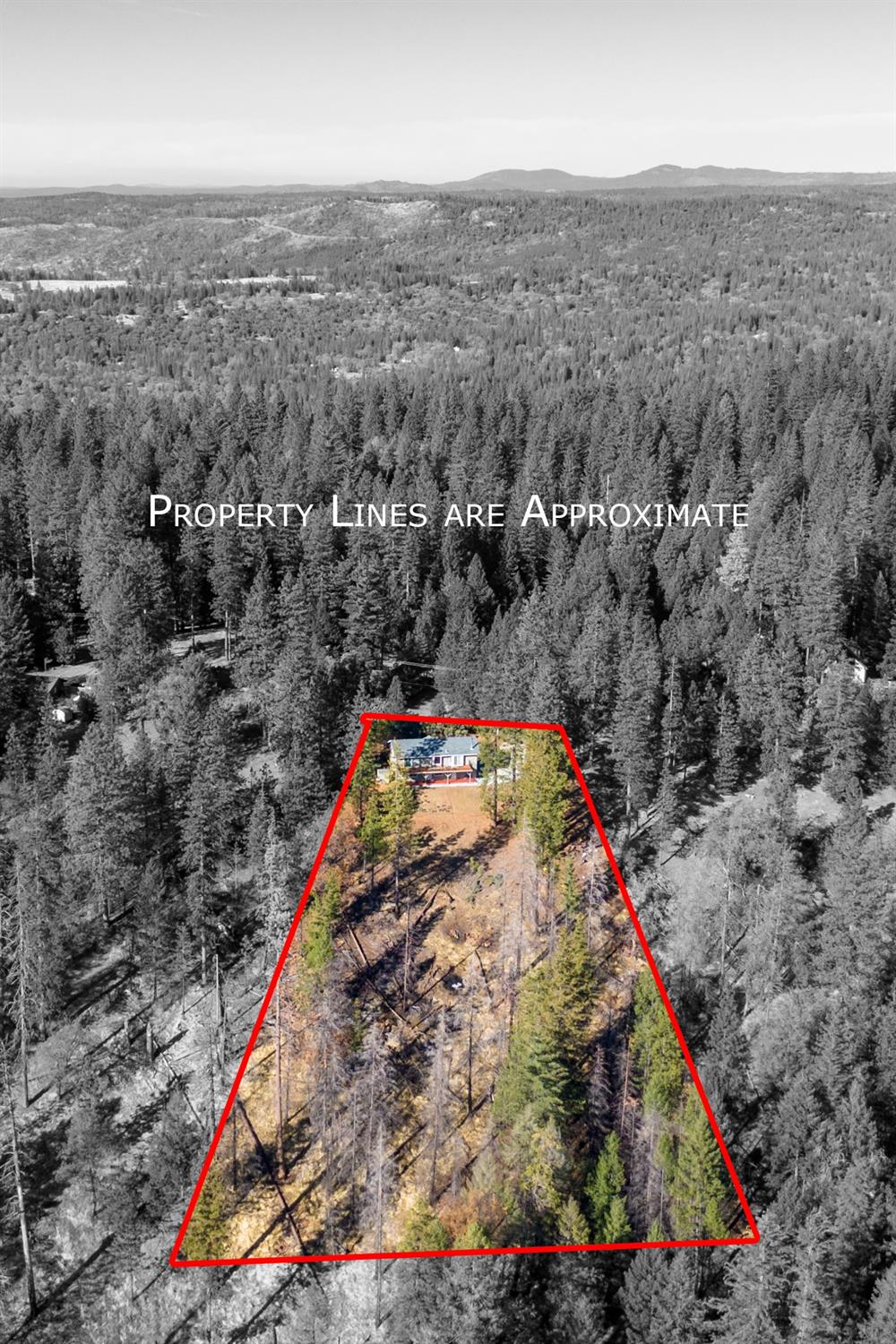 Wildrose Drive, Grizzly Flats, California image 37