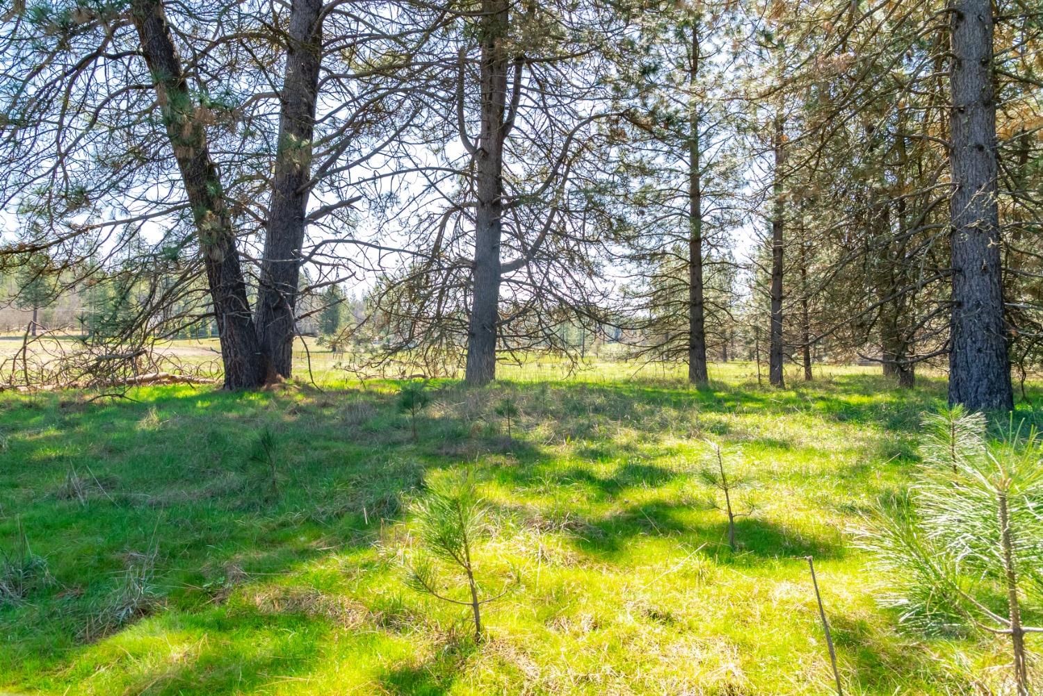 TBD Fiske Road, Coulterville, California image 24
