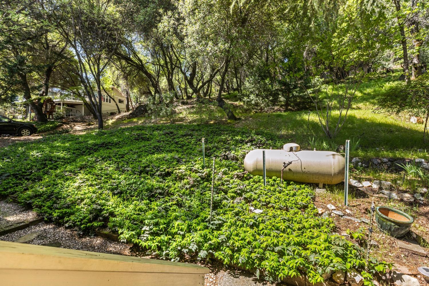 Detail Gallery Image 28 of 38 For 12910 Roadrunner Dr, Penn Valley,  CA 95946 - 3 Beds | 2 Baths