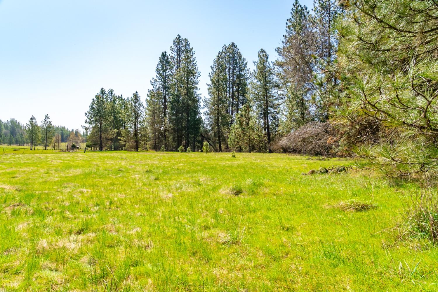 TBD Fiske Road, Coulterville, California image 11