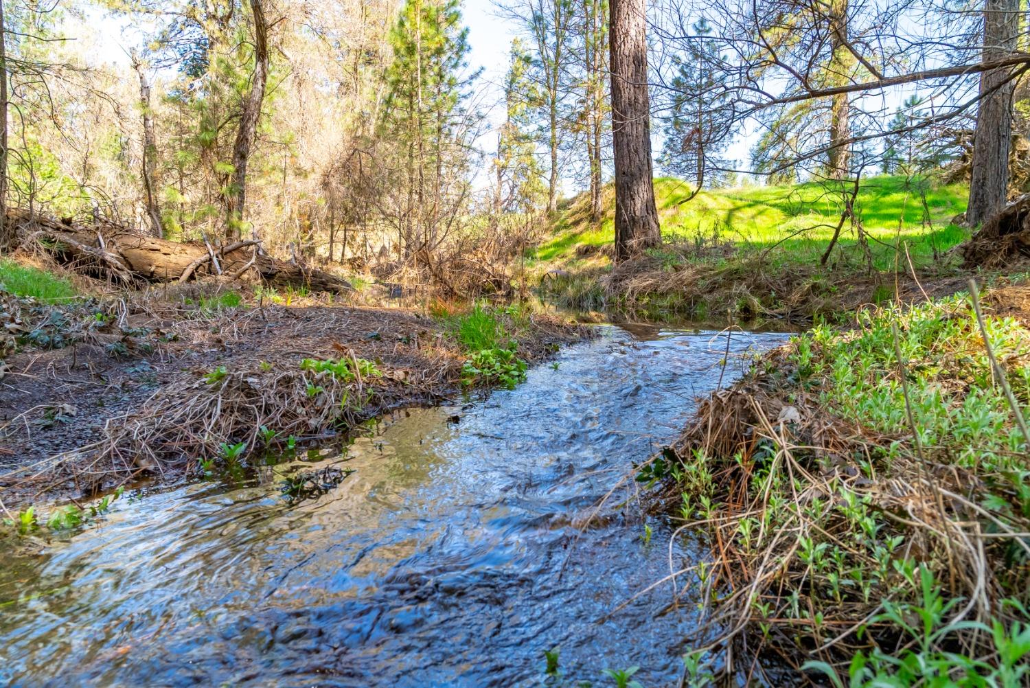 TBD Fiske Road, Coulterville, California image 1