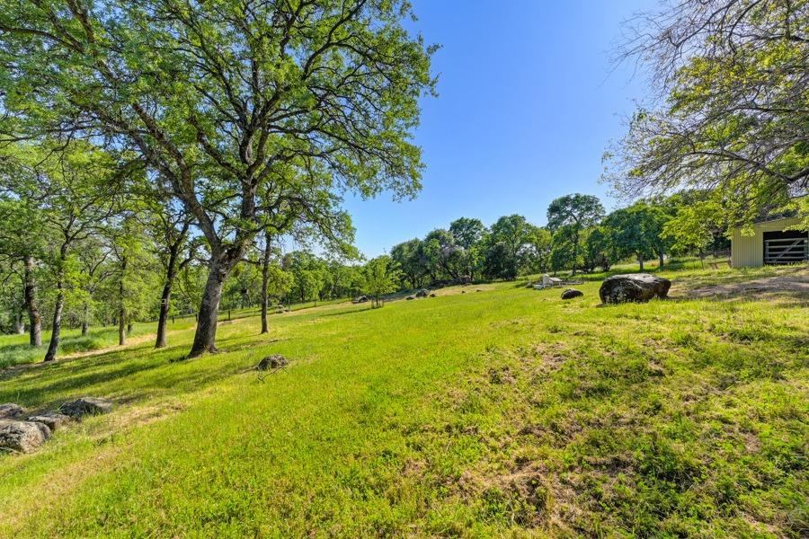 Detail Gallery Image 68 of 99 For 11700 Quail Rd, Auburn,  CA 95602 - 3 Beds | 2 Baths