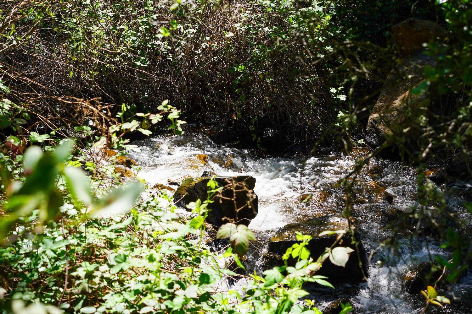 Perimeter Rd, Grass Valley, California image 3