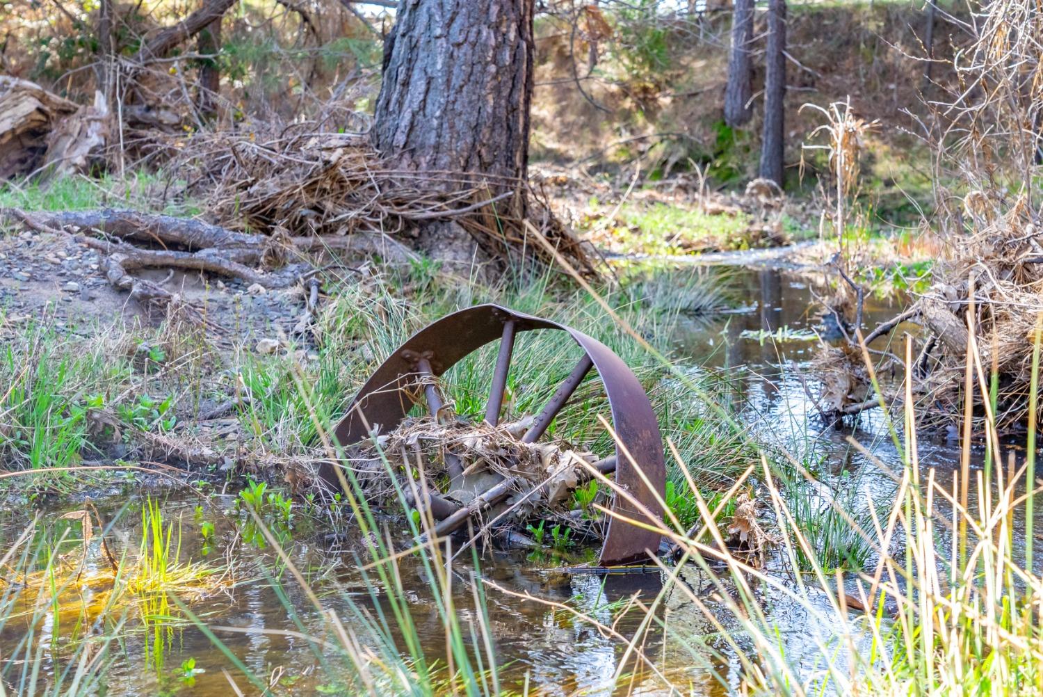 TBD Fiske Road, Coulterville, California image 8