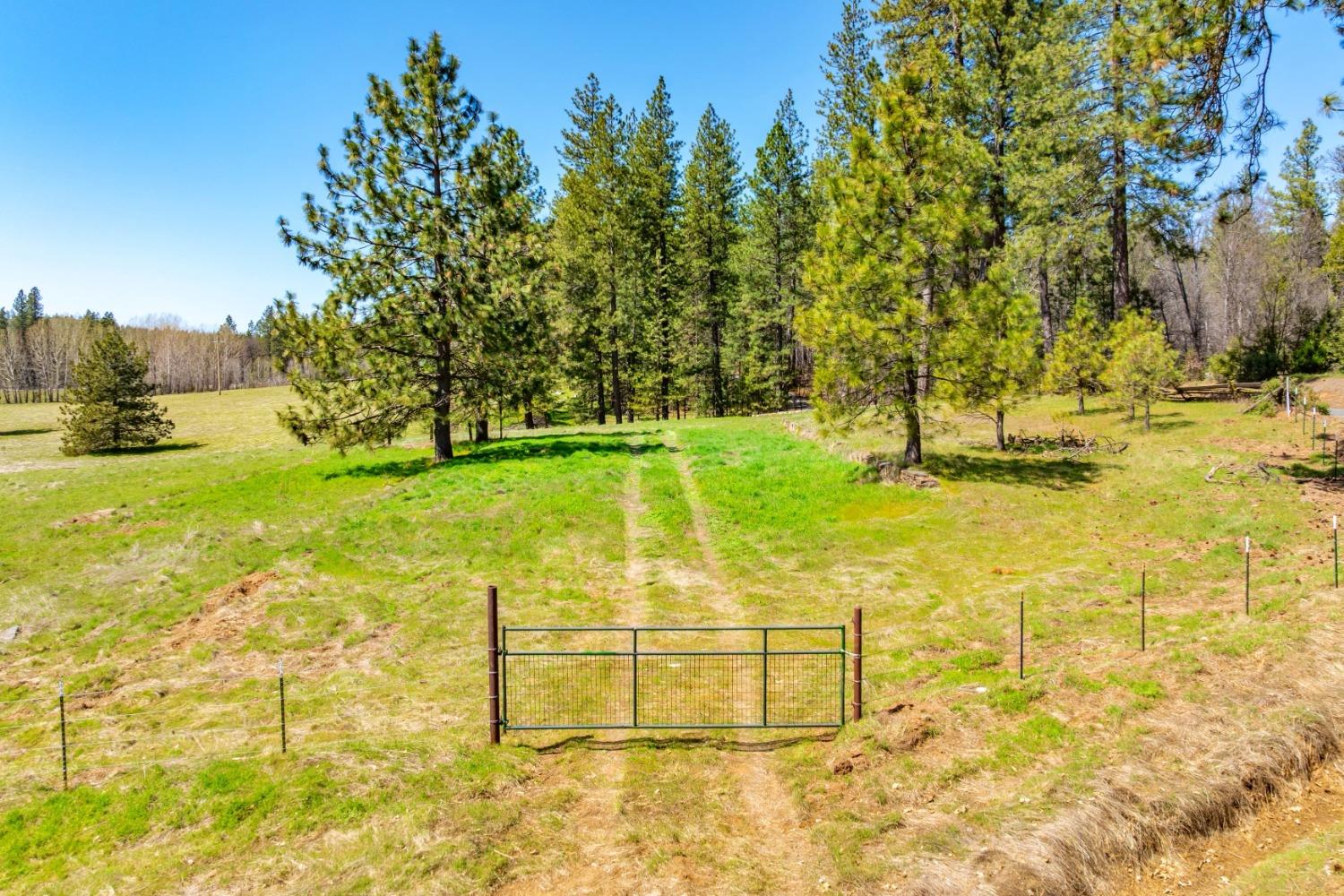 TBD Fiske Road, Coulterville, California image 34