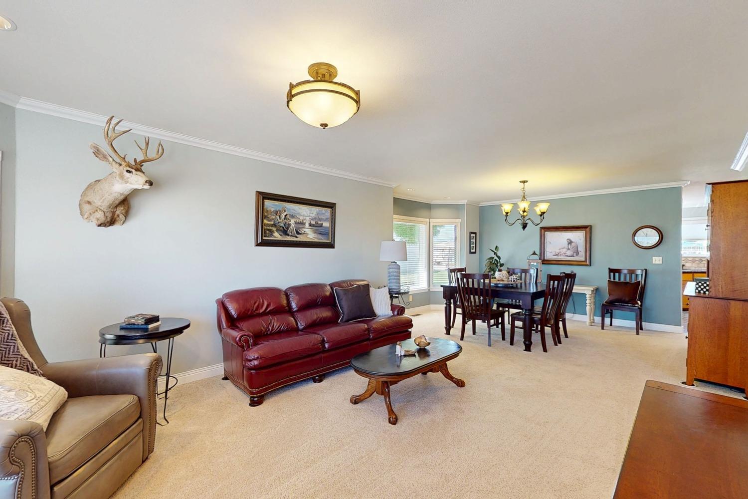 Detail Gallery Image 45 of 81 For 509 Wyer Rd, Arbuckle,  CA 95912 - 5 Beds | 2/1 Baths