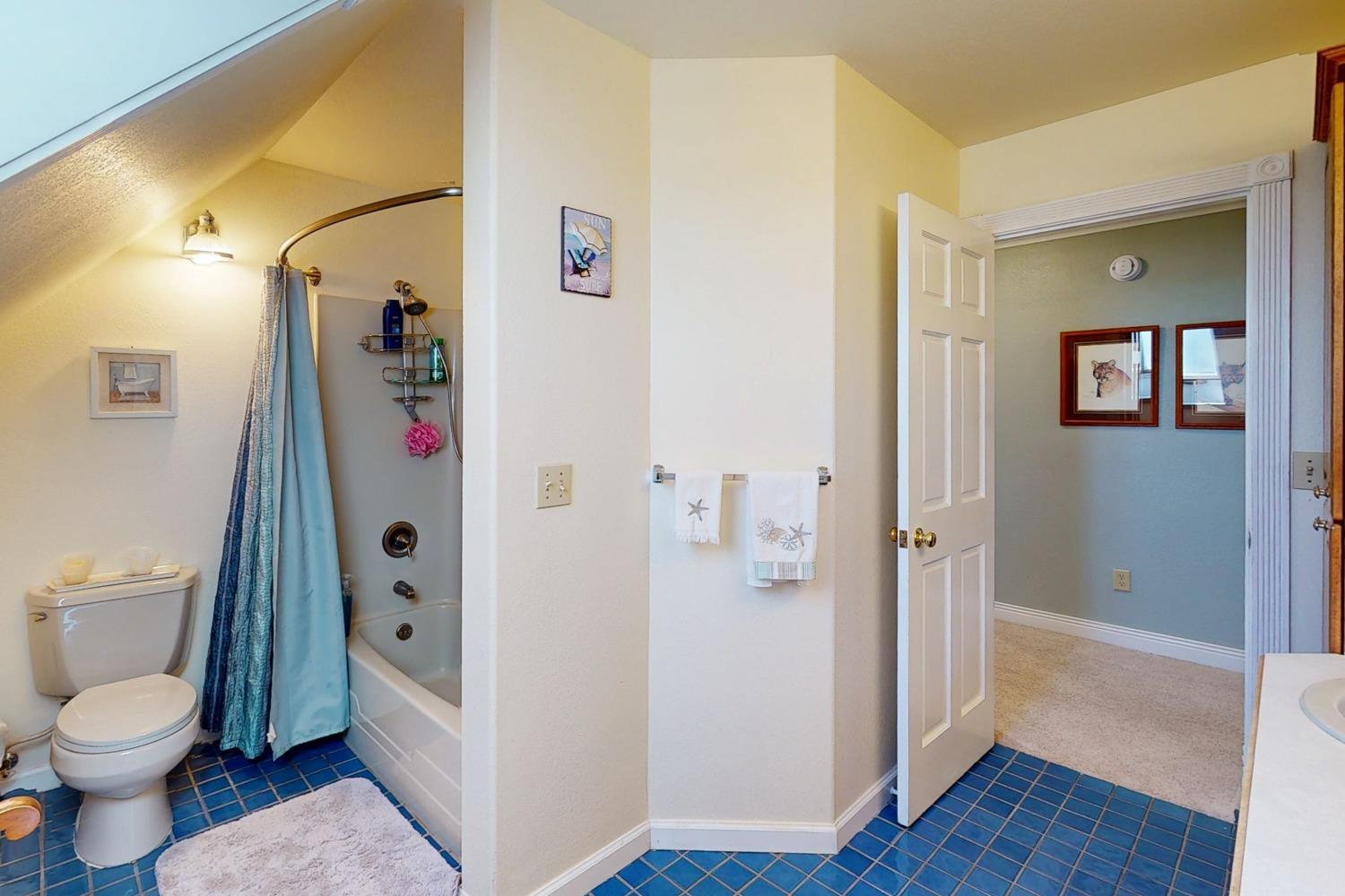 Detail Gallery Image 74 of 81 For 509 Wyer Rd, Arbuckle,  CA 95912 - 5 Beds | 2/1 Baths