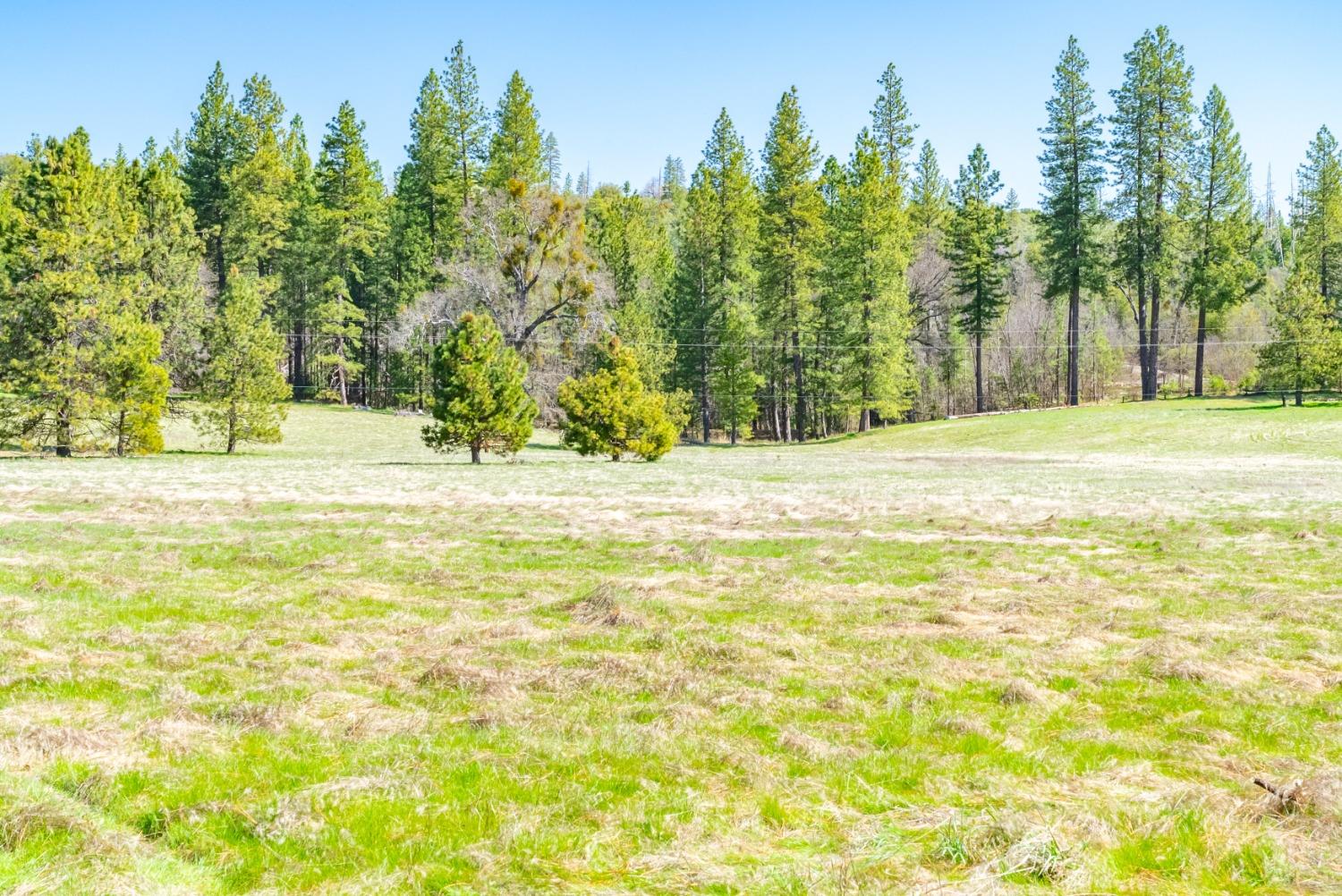 TBD Fiske Road, Coulterville, California image 19