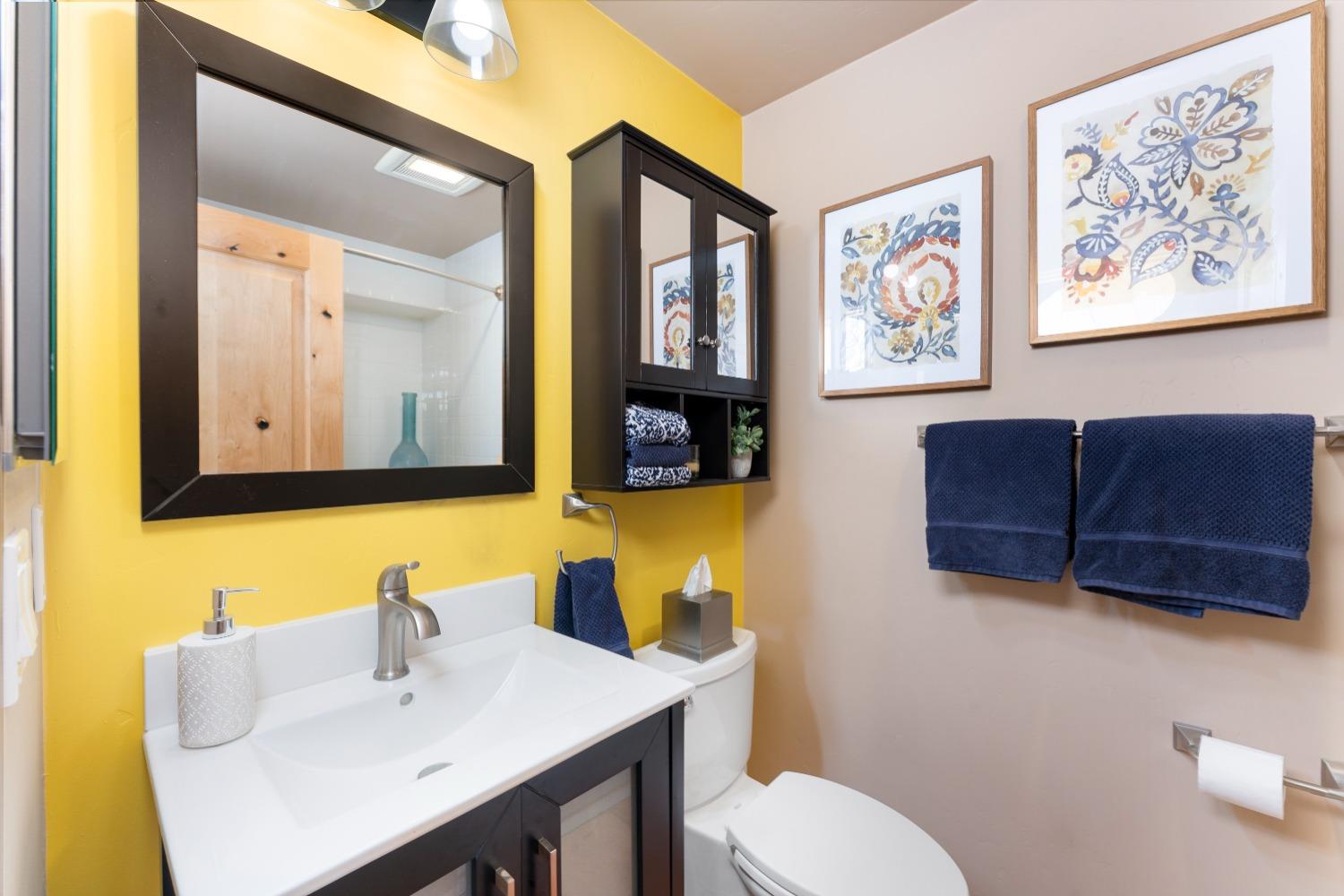 Detail Gallery Image 42 of 81 For 32454 S River Rd, Clarksburg,  CA 95612 - 3 Beds | 2/1 Baths