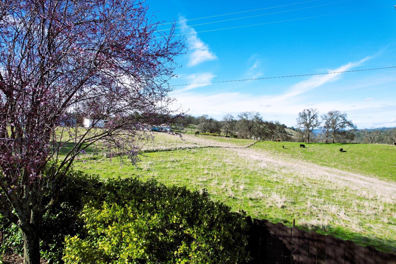 Estey Way, Plymouth, California image 32