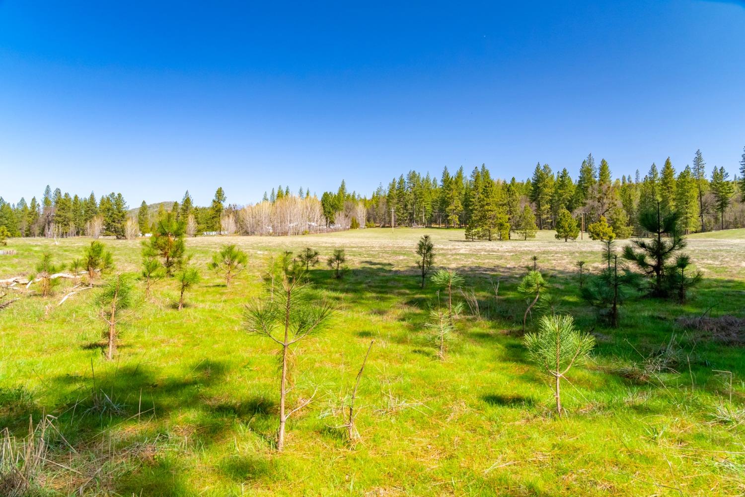 TBD Fiske Road, Coulterville, California image 27