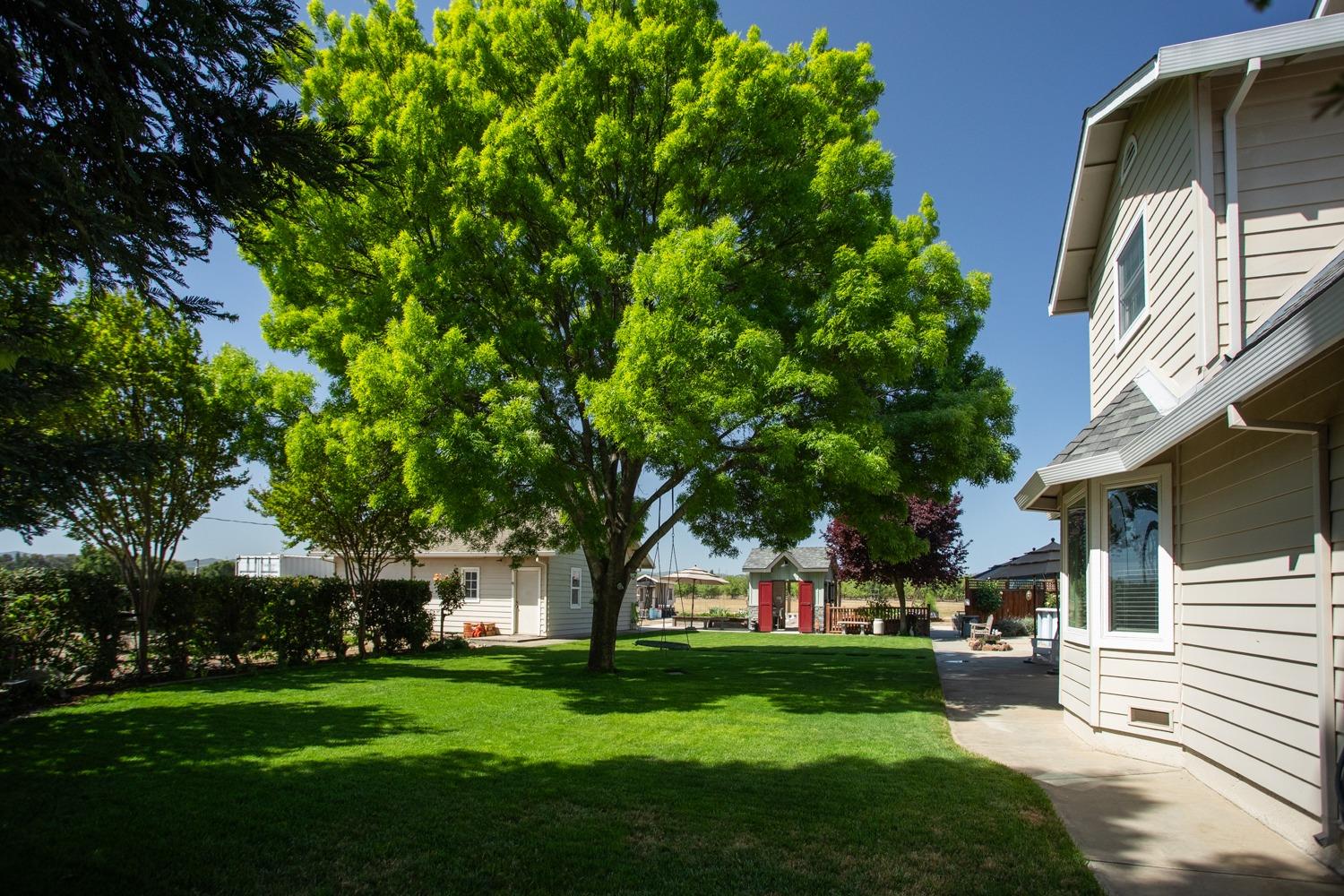 Detail Gallery Image 14 of 81 For 509 Wyer Rd, Arbuckle,  CA 95912 - 5 Beds | 2/1 Baths